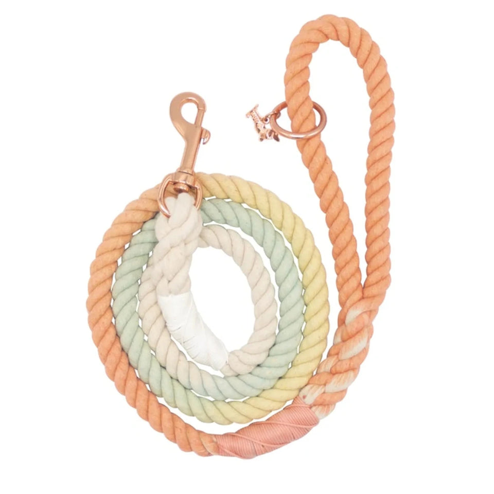 Rope Dog Leash - 5 ft - Pets Perfect