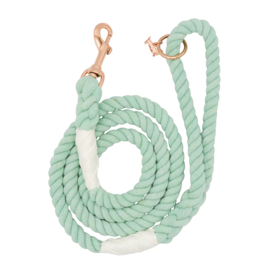 Rope Dog Leash - 5 ft - Pets Perfect
