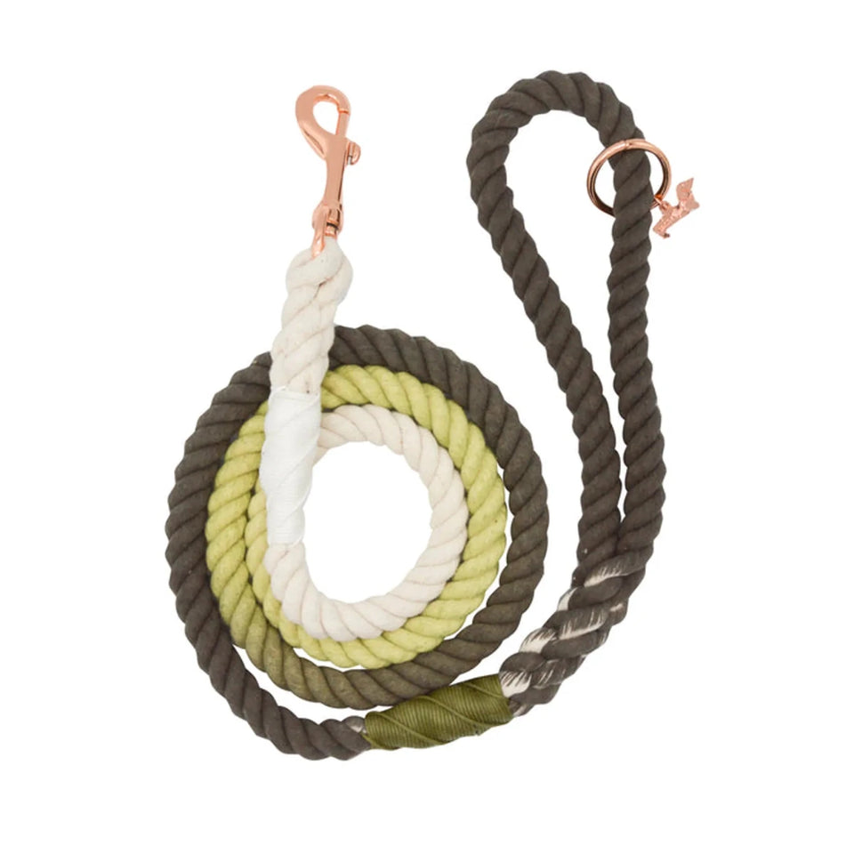 Rope Dog Leash - 5 ft - Pets Perfect