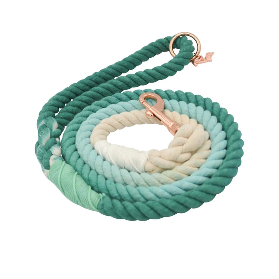 Rope Dog Leash - 5 ft - Pets Perfect
