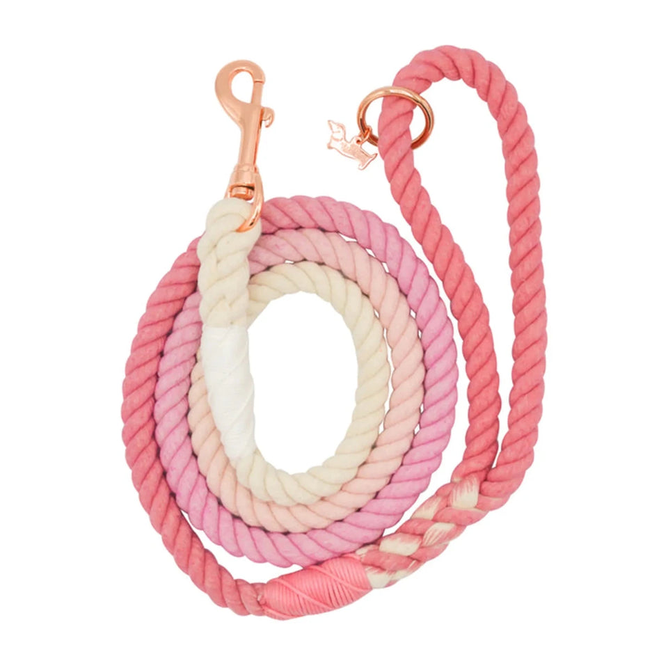 Rope Dog Leash - 5 ft - Pets Perfect