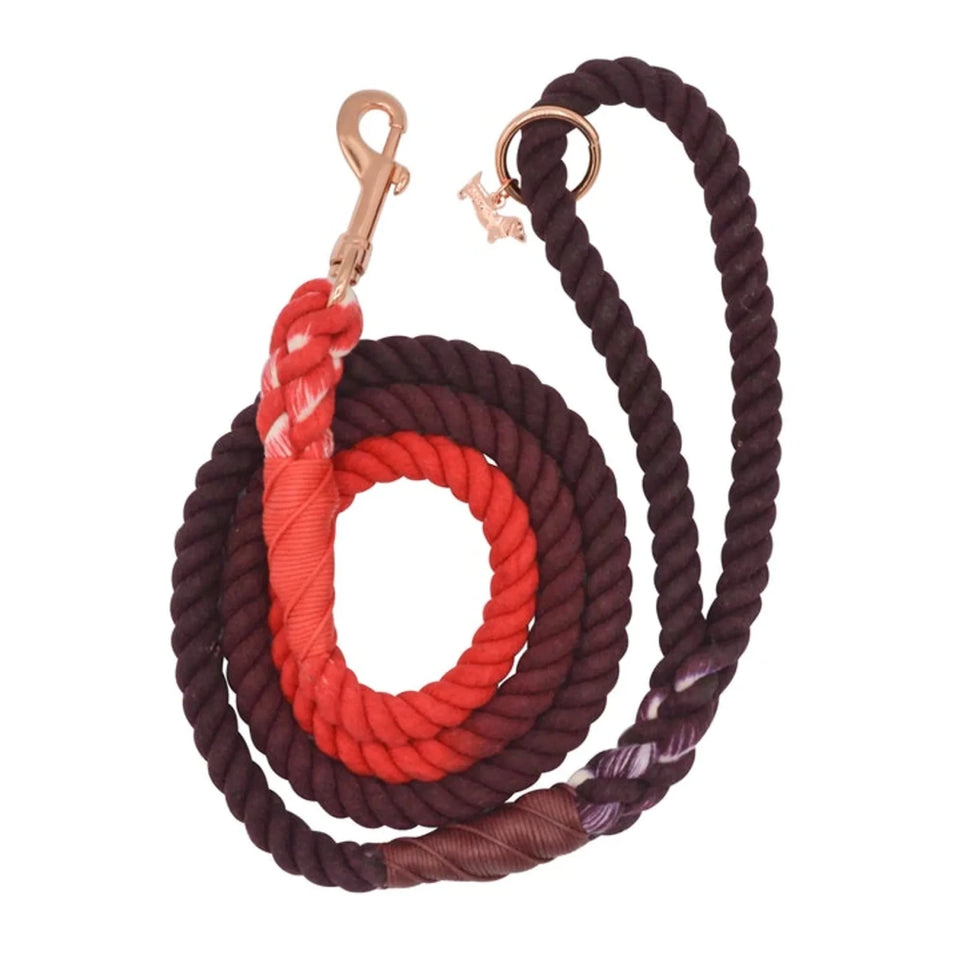 Rope Dog Leash - 5 ft - Pets Perfect