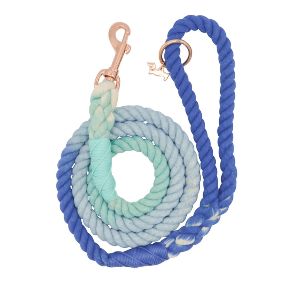 Rope Dog Leash - 5 ft - Pets Perfect