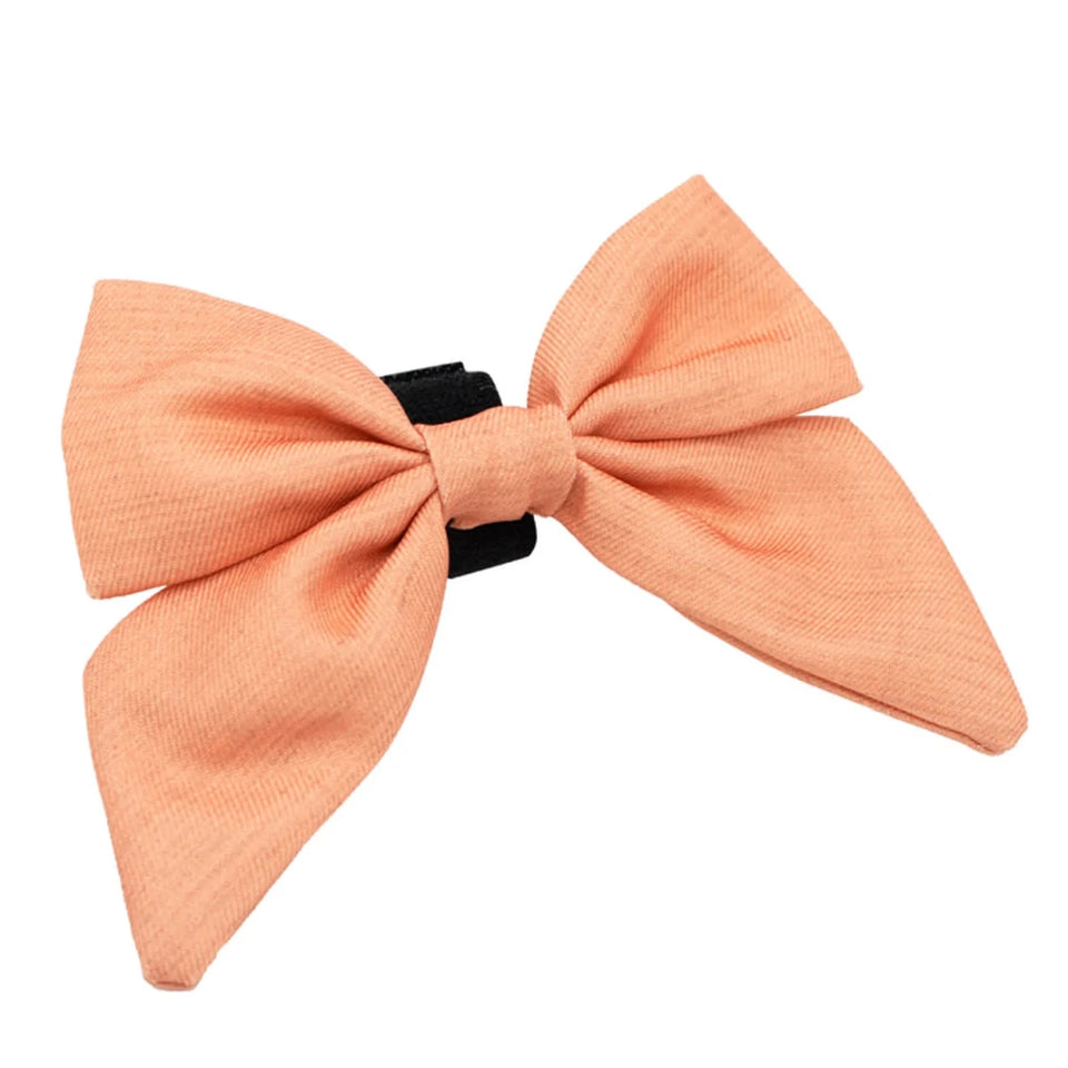 Sailor Bow - Pets Perfect