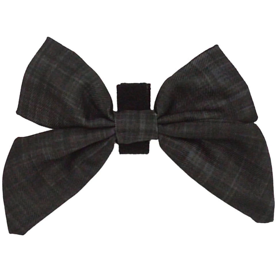 Sailor Bow - Pets Perfect