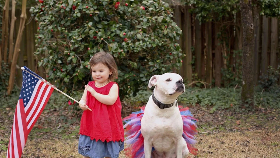 Red White Blue 4th of July Dog Tutu Skirt by Tutu Joli - Pets Perfect