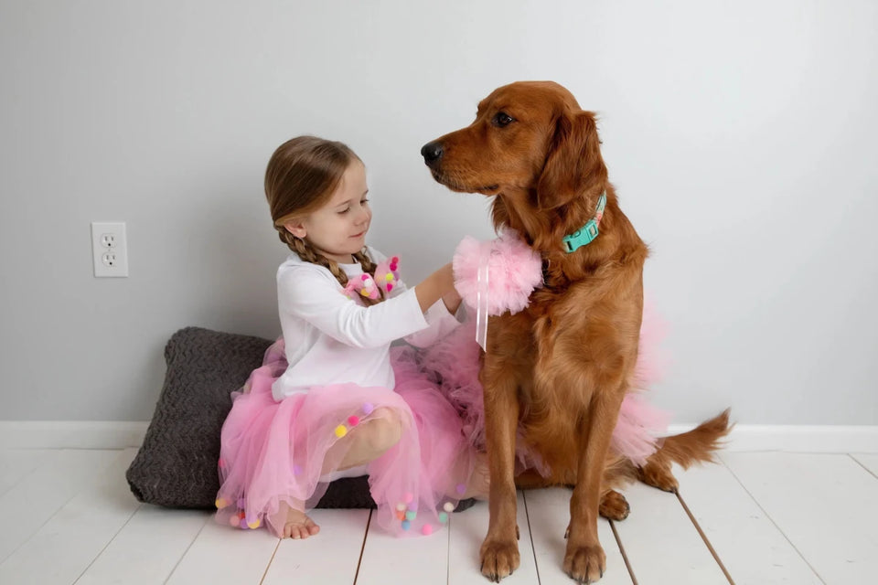 Light Pink Dog Tutu Skirt (XS) - Pets Perfect