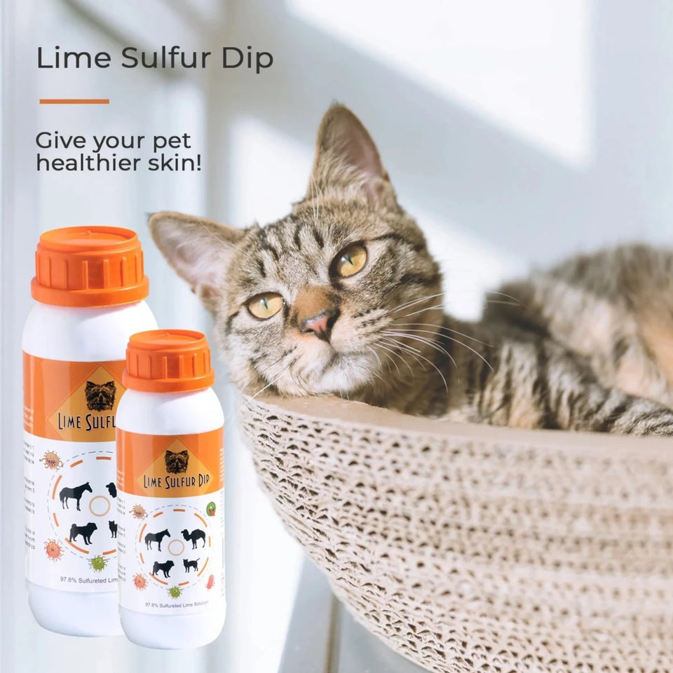 Lime Sulfur Dip - Pet and Veterinary Solution for Dermatitis, Mange, Ringworm and other Parasites - Pets Perfect