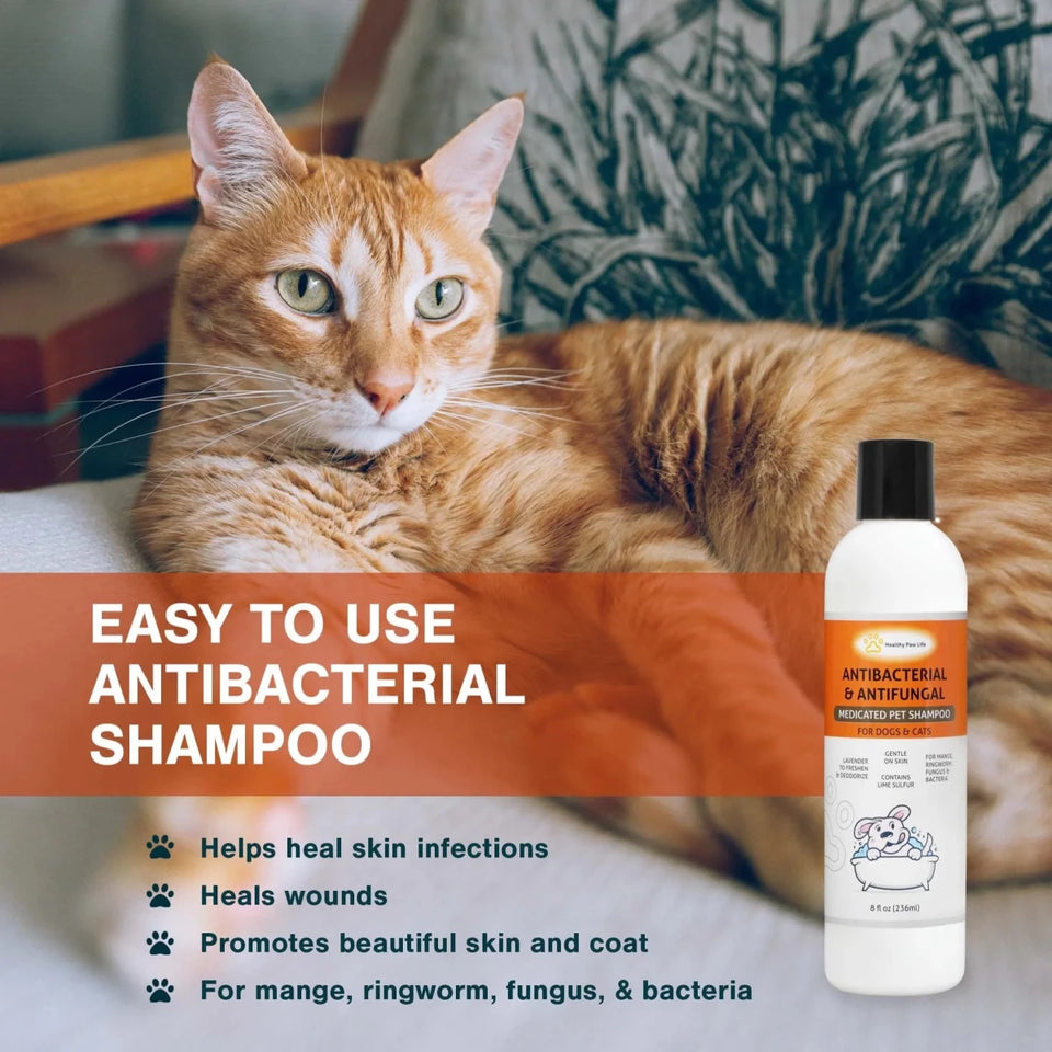 Classic's Lime Sulfur Medicated Dog Shampoo - Antifungal Antibacterial Treatment for Ringworm