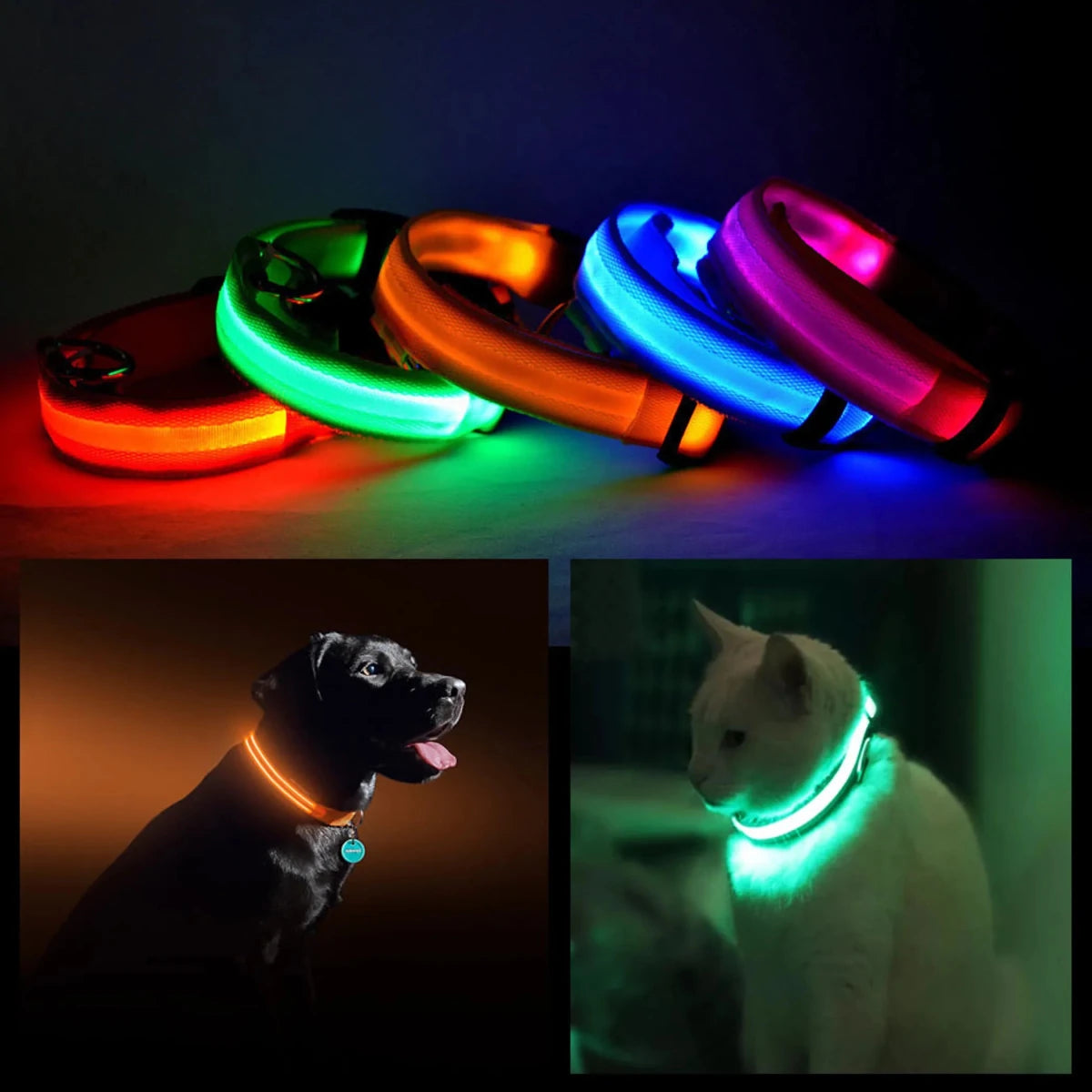 LED PET Safety Halo Style Dog Collar - Pets Perfect