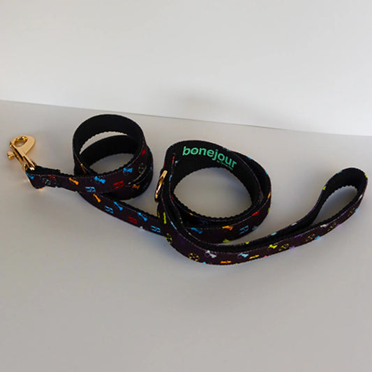 Green Pet Shop Petite Bonejour Leash - Eco-Friendly Recycled Material Dog Leash for Small Dogs