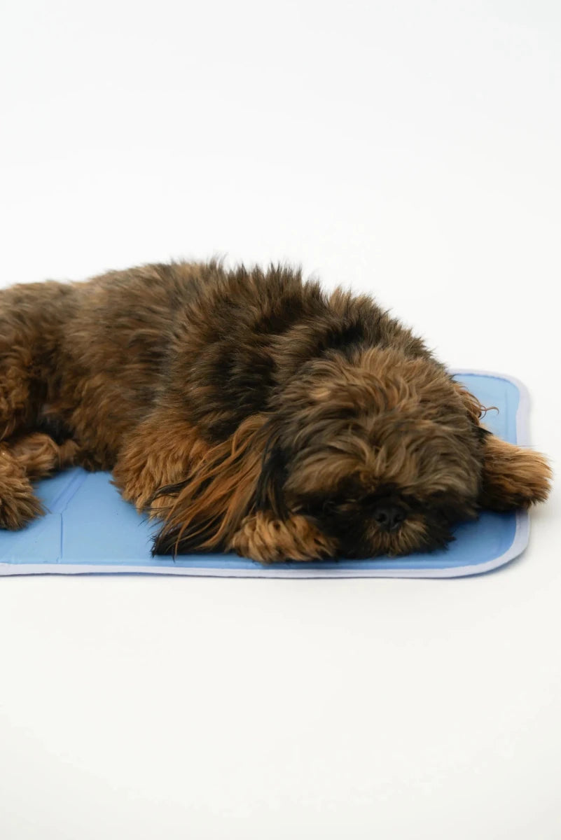 Cool Pet Pad - Pets Perfect