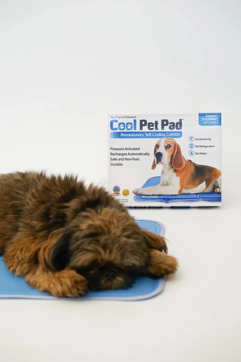 Cool Pet Pad - Pets Perfect