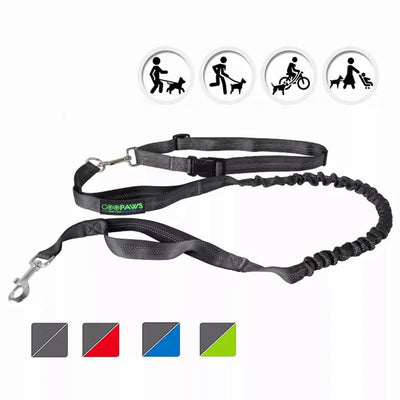 JESPET Hands-Free Dog Leash with Reflective Bungee, Medium/Large Dogs - Pets Perfect