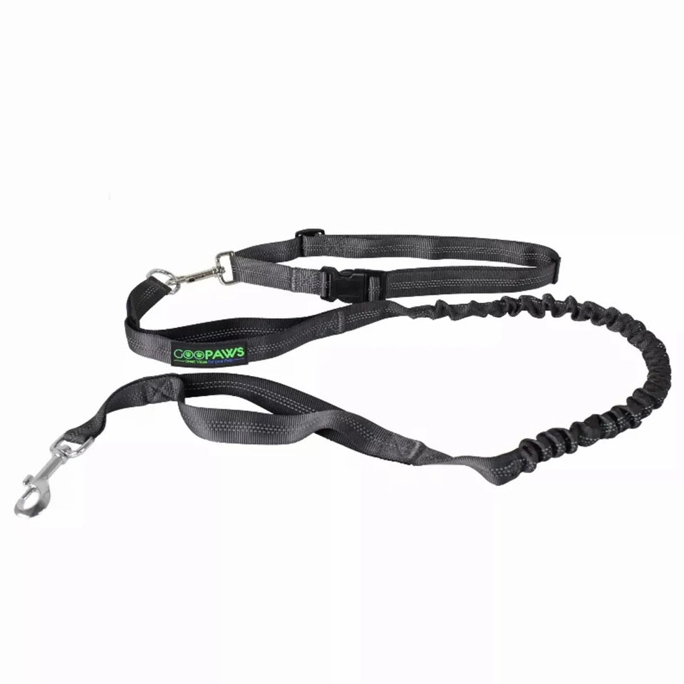 JESPET Hands-Free Dog Leash with Reflective Bungee, Medium/Large Dogs - Pets Perfect