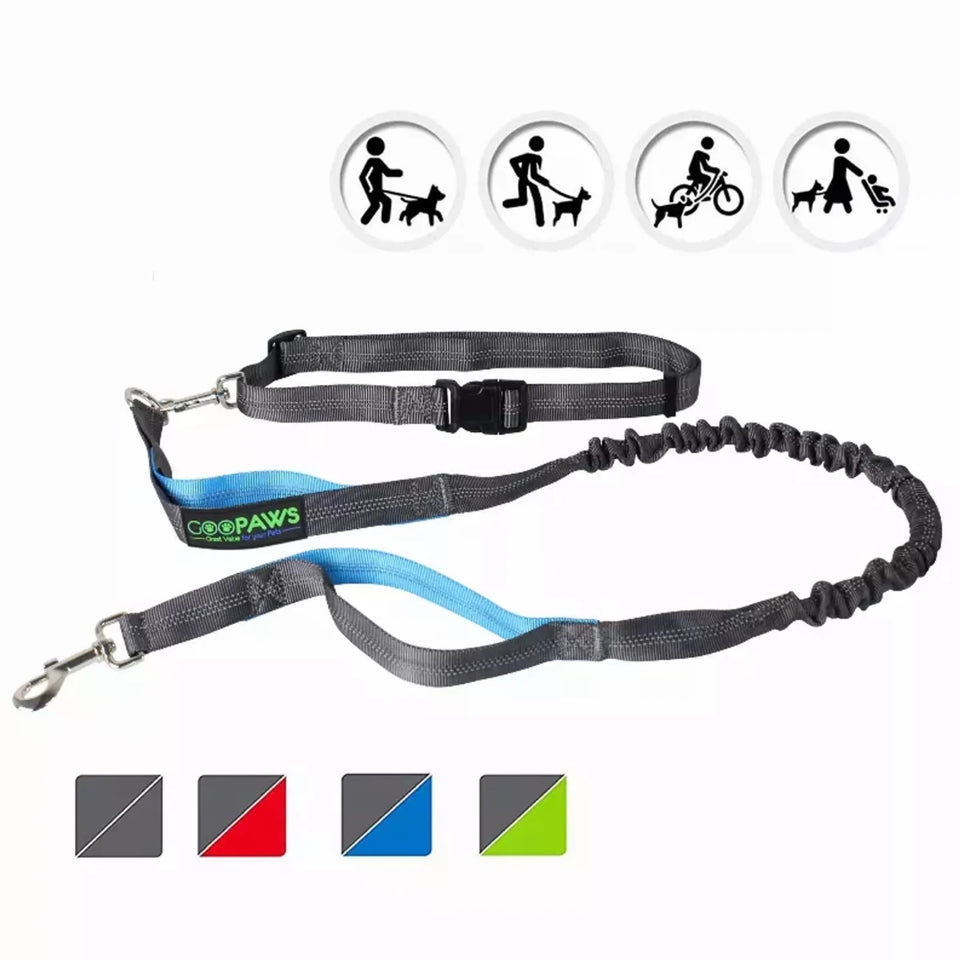 JESPET Hands-Free Dog Leash with Reflective Bungee, Medium/Large Dogs - Pets Perfect