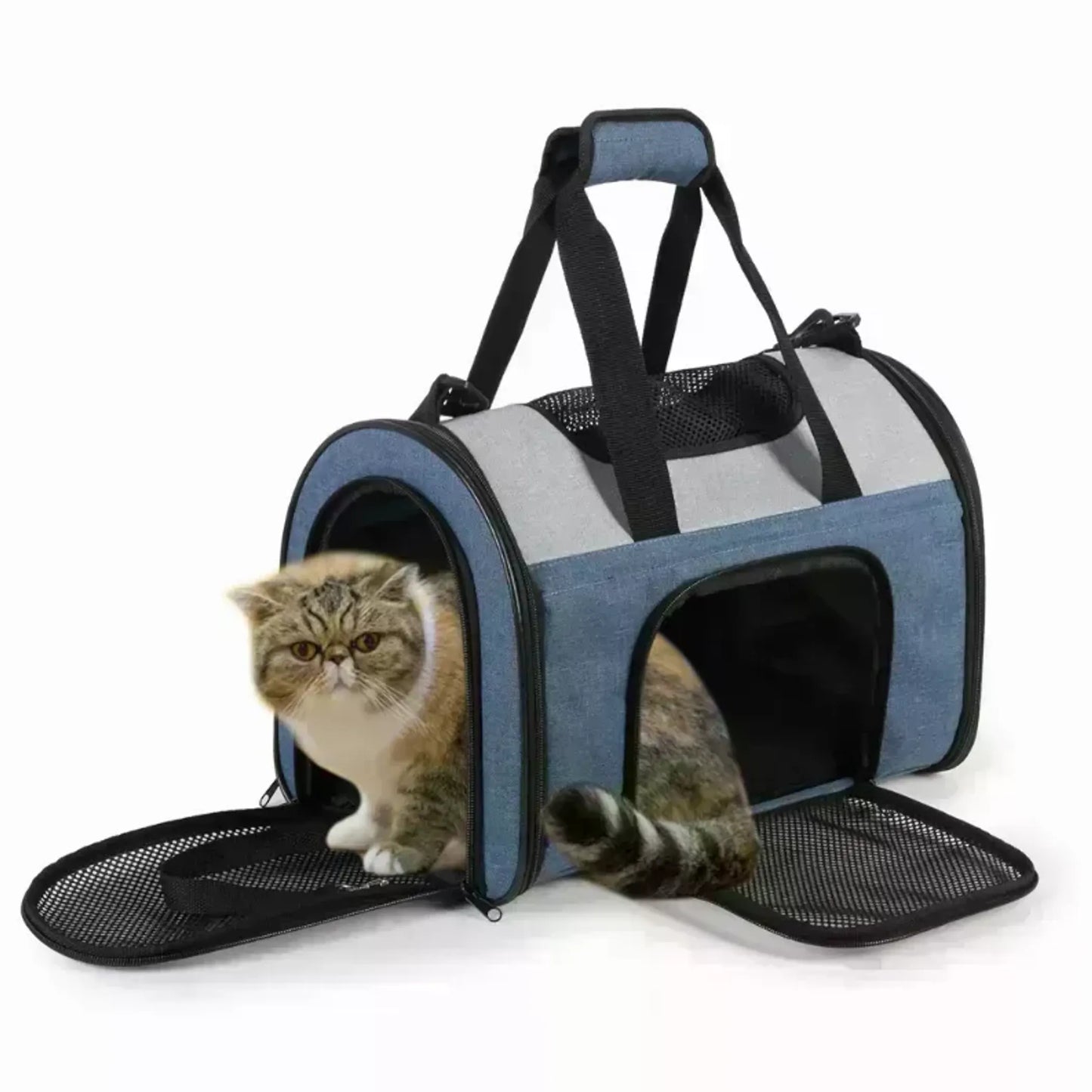 JESPET Collapsible Pet Carrier - Soft Kennel for Small Dogs and Cats with Dual Entry