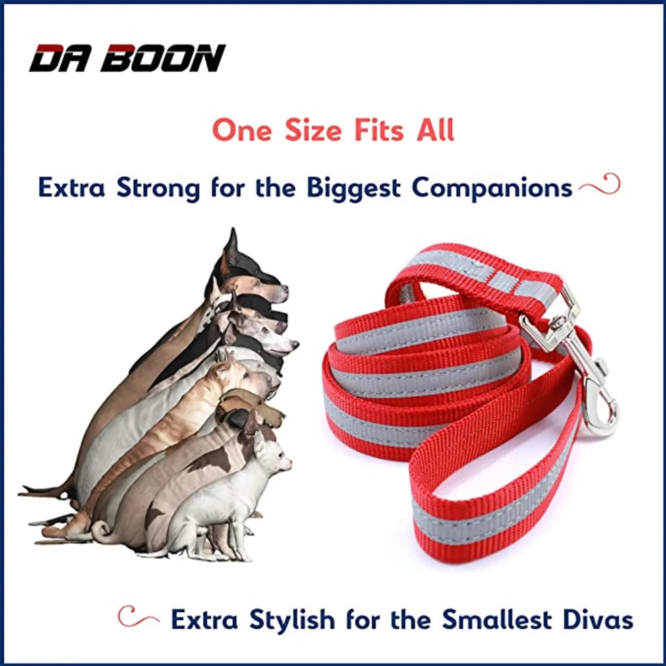 Da Boon Original Double-Sided Reflective Dog Leash - Pets Perfect