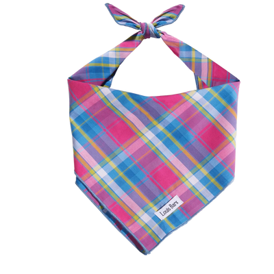 Colorful Plaid Bandana, Rainbow Dog Bandana - Pets Perfect