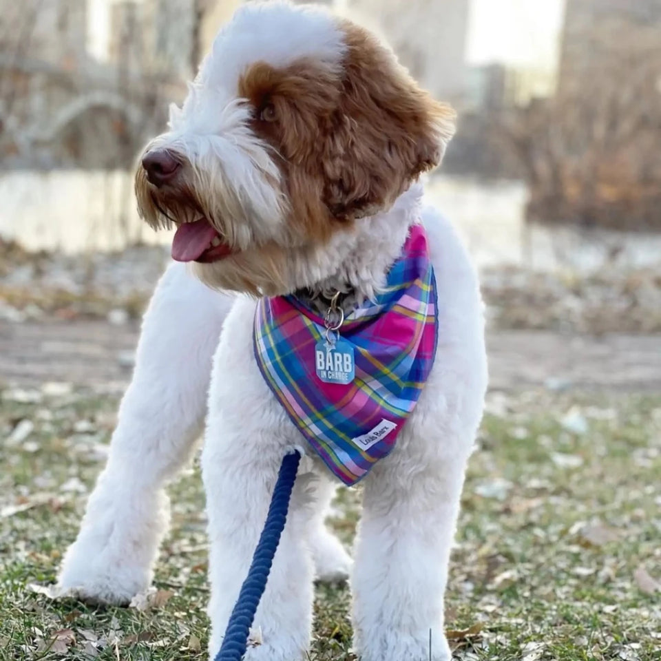 Colorful Plaid Bandana, Rainbow Dog Bandana - Pets Perfect