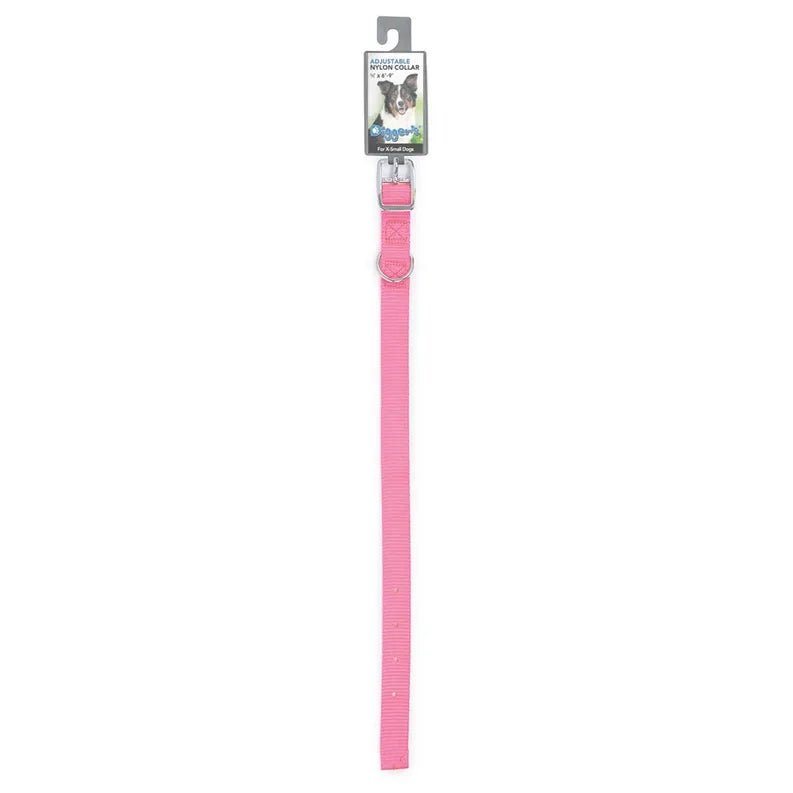 DGR 5/8 in Nylon Dog Collar 10 in Pink - Pets Perfect