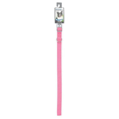 DGR 5/8 in Nylon Dog Collar 10 in Pink - Pets Perfect