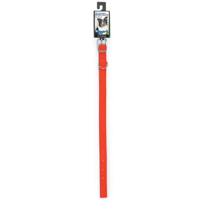 DGR 5/8 in Nylon Collar 16 in Neon Org - Pets Perfect
