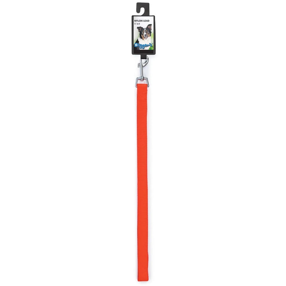 DGR 3/4 in Nylon Lead 48 in Neon Org - Pets Perfect
