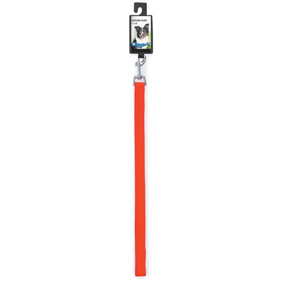 DGR 3/4 in Nylon Lead 48 in Neon Org - Pets Perfect