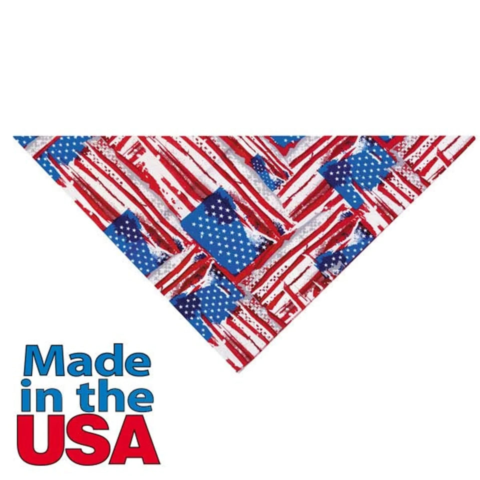 TP Painted Flag Bandana Multi, view 3