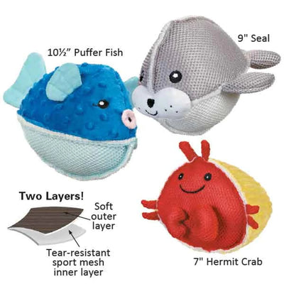 GR Aquadudes Hermit Crab - Pets Perfect