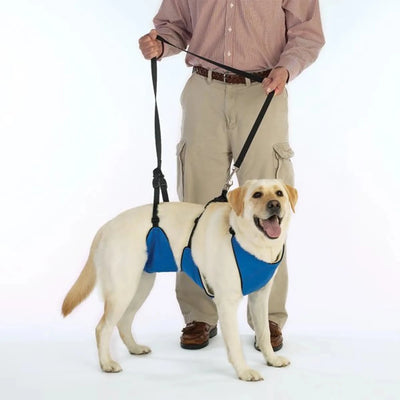 TPH Lift & Lead 4 in 1, Blue/LARGE