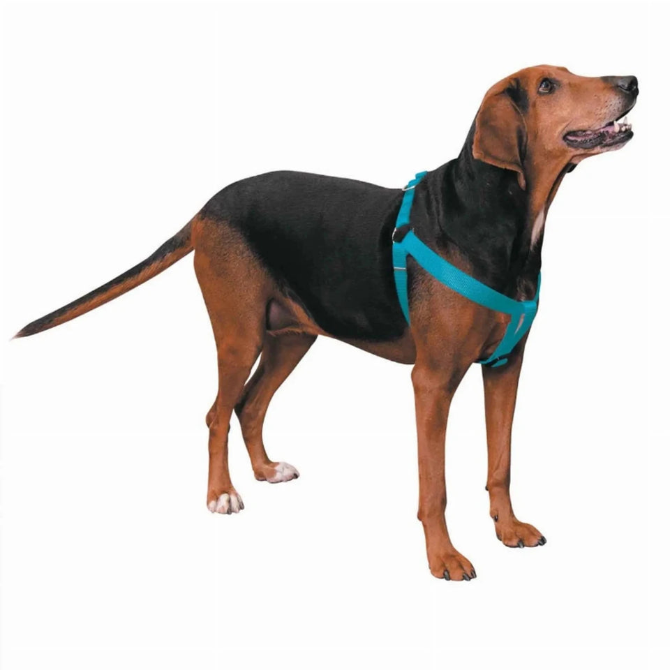 CC Nylon 2 Step Dog Harness 15-25 in Black, view 3