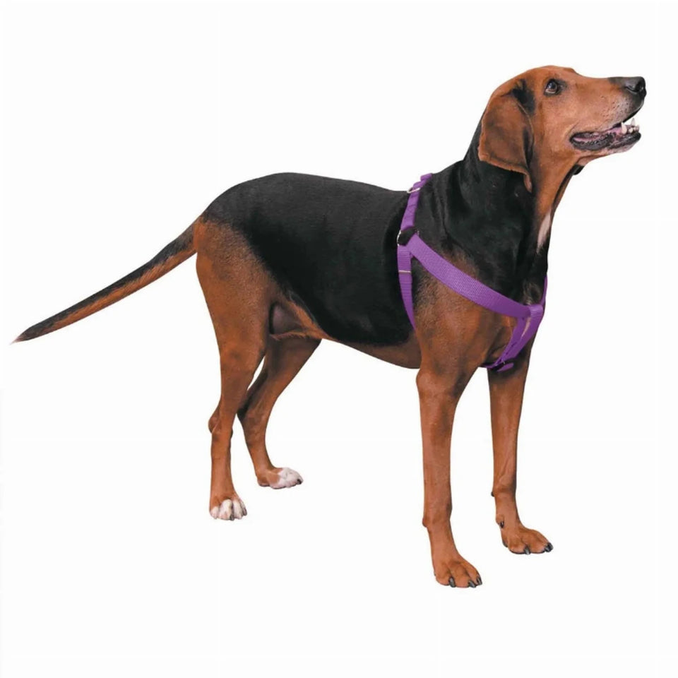 CC Nylon 2 Step Dog Harness 15-25 in Black, view 8