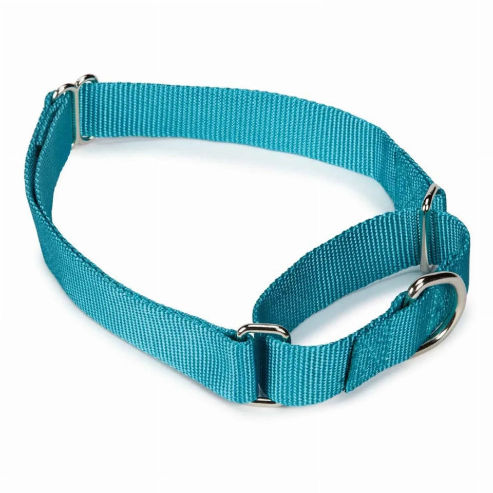 GG Nylon Martingale Dog Collar 10-16 in Black, view 4