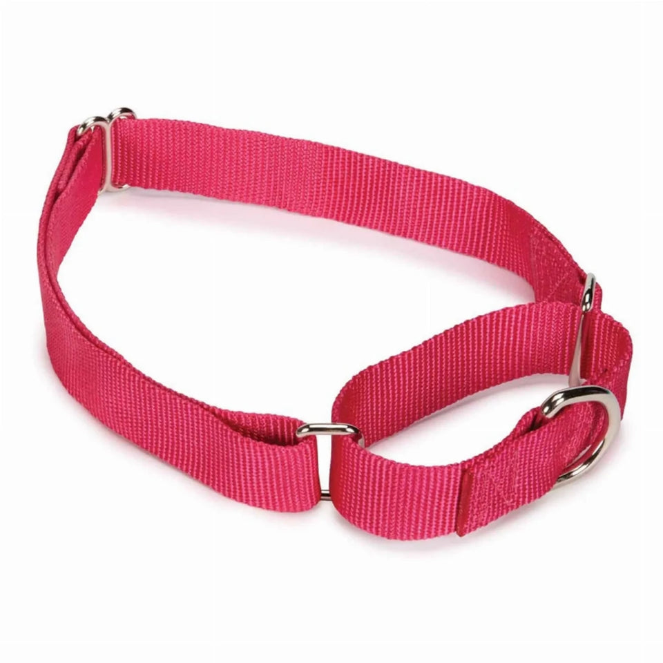 GG Nylon Martingale Dog Collar 10-16 in Black, view 17