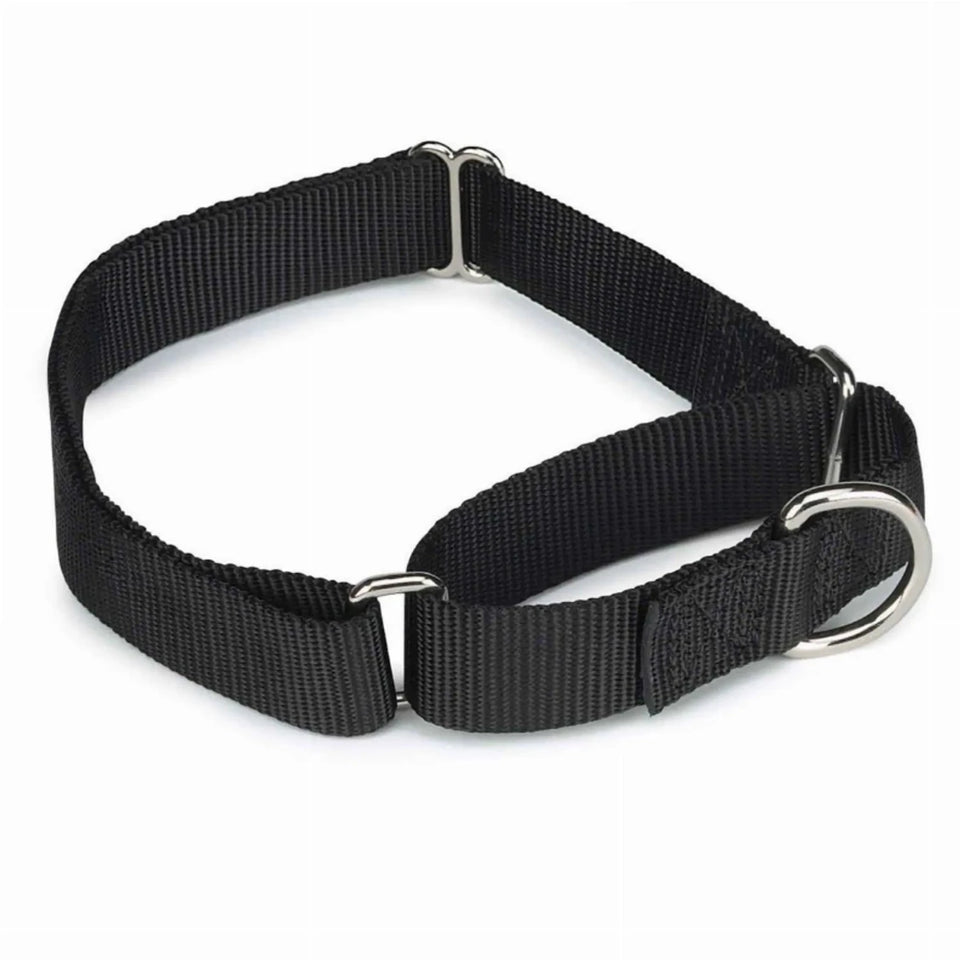 GG Nylon Martingale Dog Collar 10-16 in Black