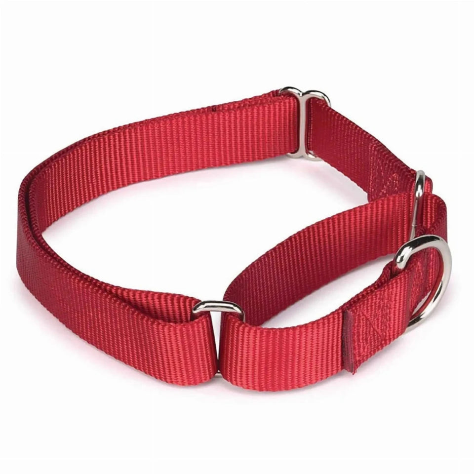 GG Nylon Martingale Dog Collar 10-16 in Black, view 7