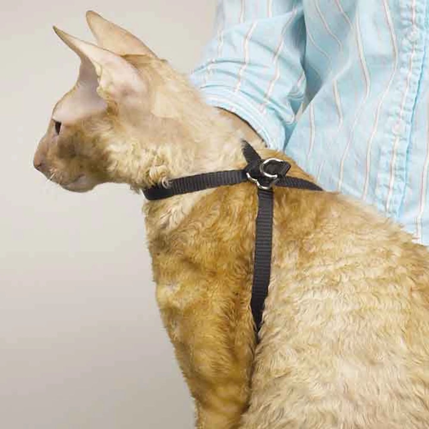 TP Adj Nylon Groom Cat Harness 40In - Pets Perfect