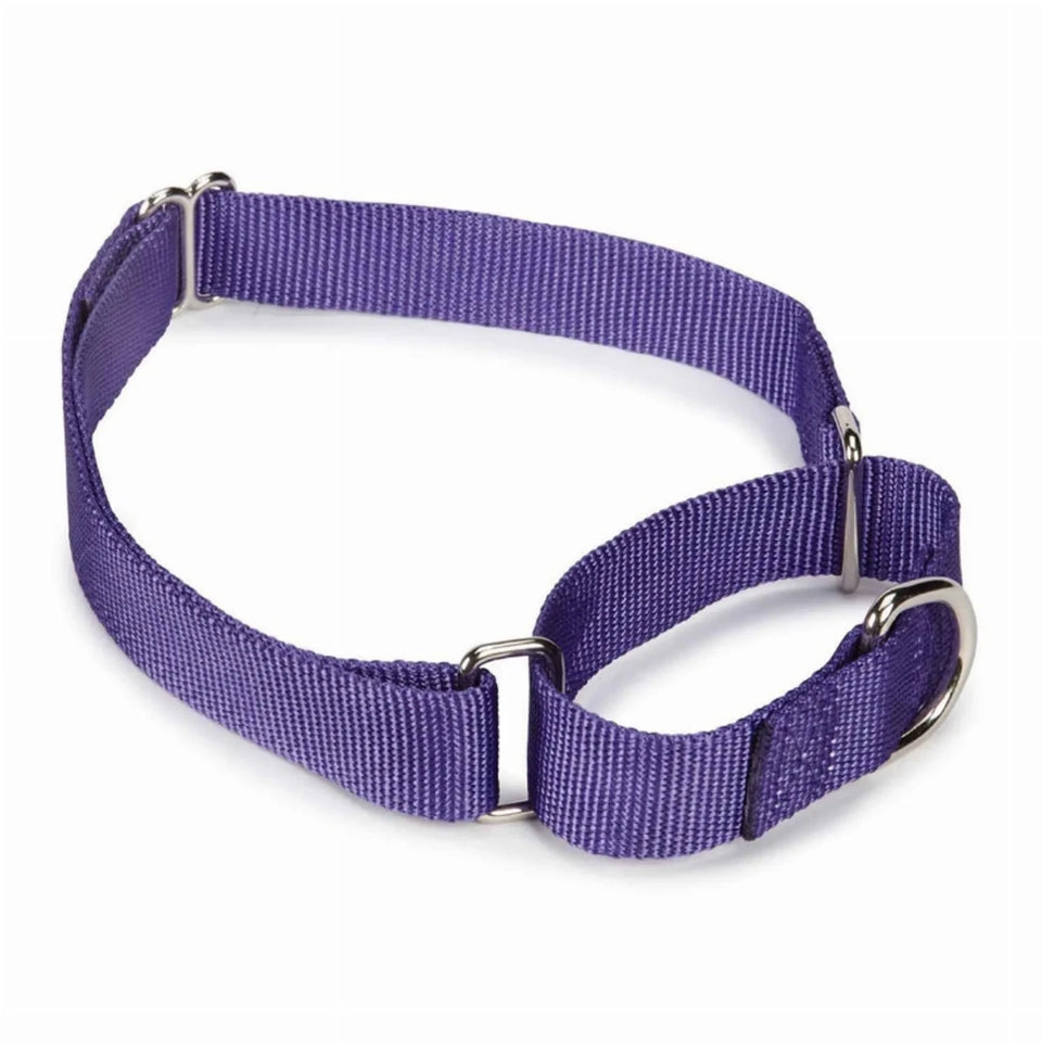 GG Nylon Martingale Dog Collar 10-16 in Black, view 18