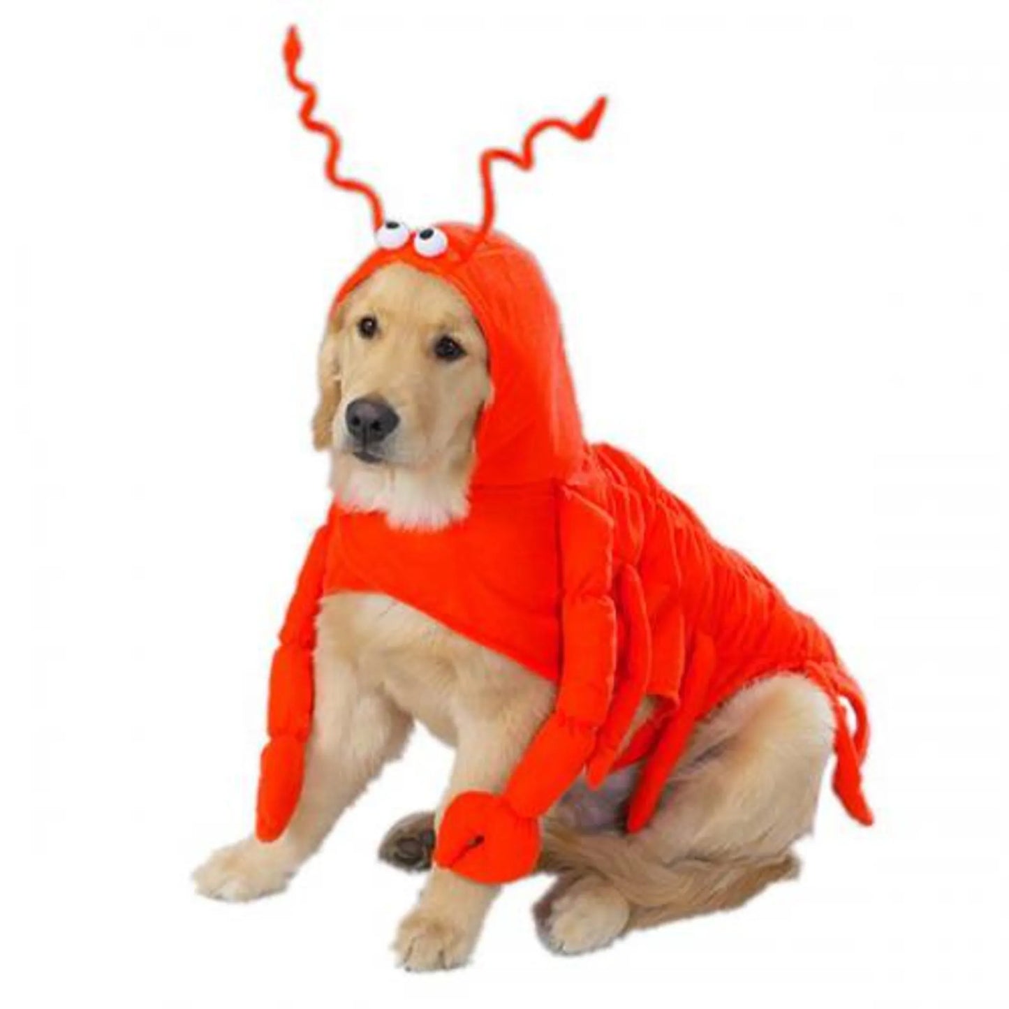 Casual Canine Lobster Paws Costume - Pets Perfect