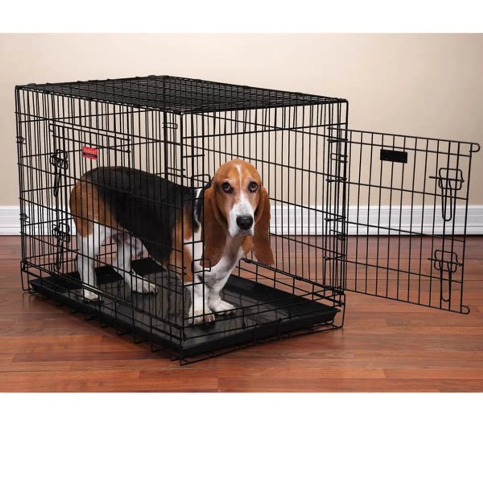 PS Everlast Crate with Dual Doors Medium/Large, view 2