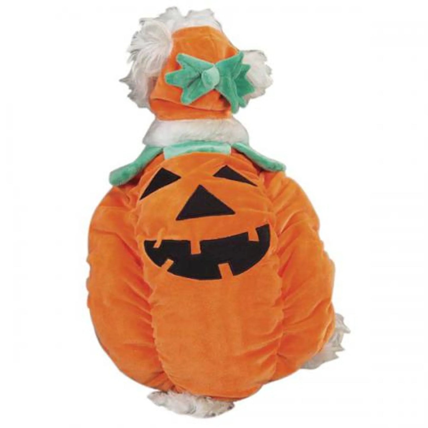 Zack & Zoey Pumpkin Pooch Costume - Pets Perfect