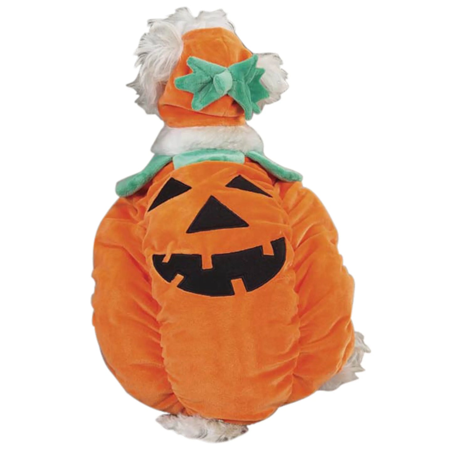 Zack & Zoey Pumpkin Pooch Costume - Pets Perfect