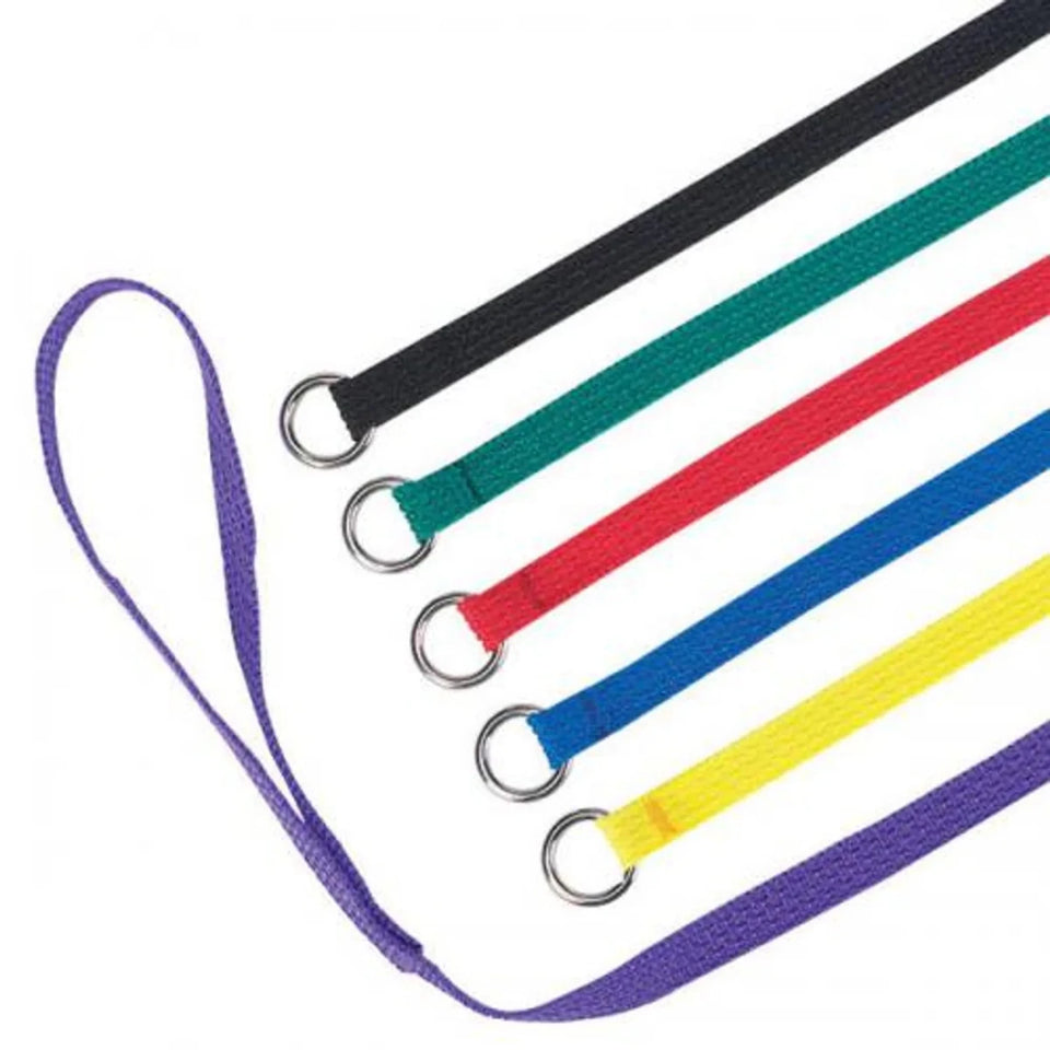 Guardian Gear Kennel Leads 6 ft 6 ct - Pets Perfect