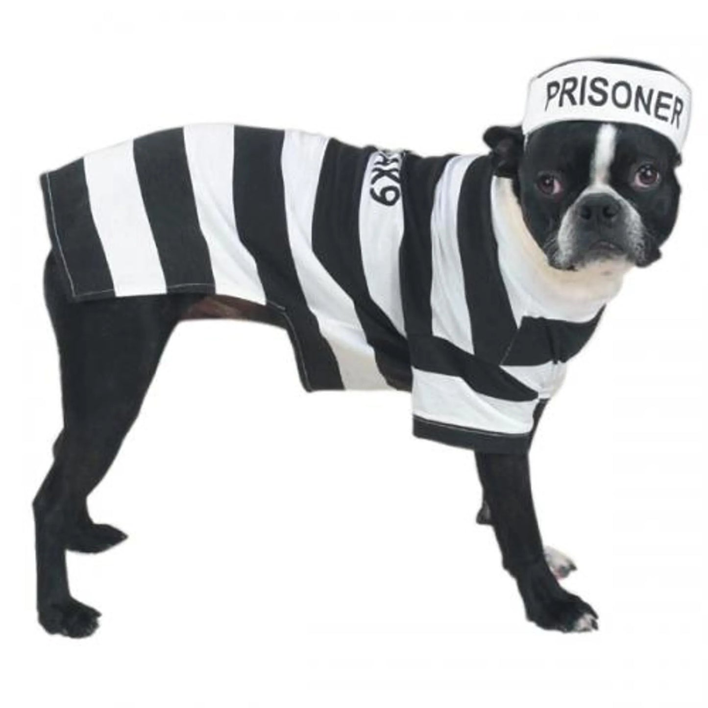 Casual Canine Prison Pooch Costume - Pets Perfect