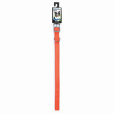 Diggers 1in Nylon Neon Collar 20in Org