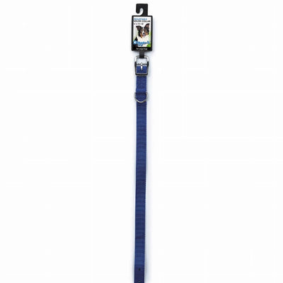 DGR 3/4 in Nylon Dog Collar, 16 in Blue