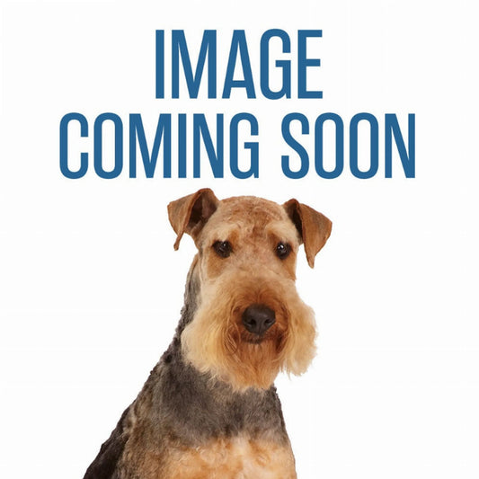 Scruffys Vibrating Mouse Toy - Pets Perfect