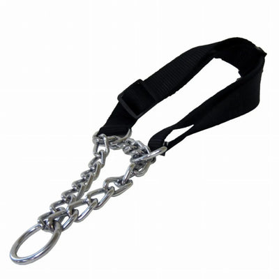 1 in Black Adjustable Martingale - Pets Perfect